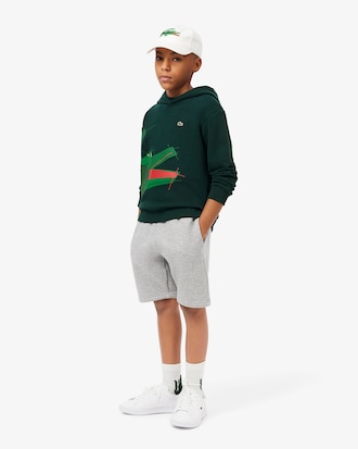 Sweatshirt à capuche crocodile graphique