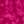 Rose fuchsia