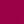 Rose Fushia / Blanc