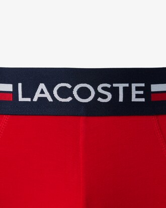 Confezione da 3 slip in cotone monocromatico con logo in vita