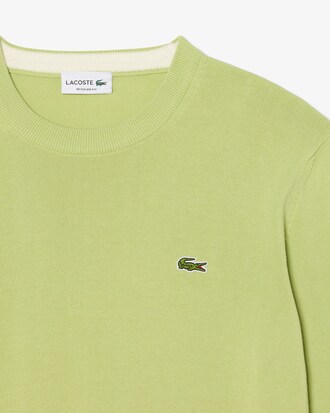 Pullover girocollo monocromatico in cotone