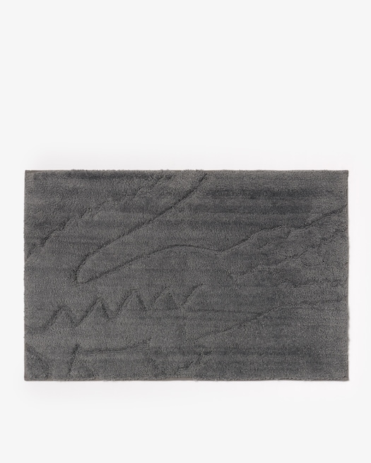METEORITE