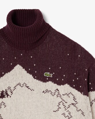 Maglione a collo alto in jacquard a righe Archive Edition