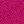 Rose Fushia