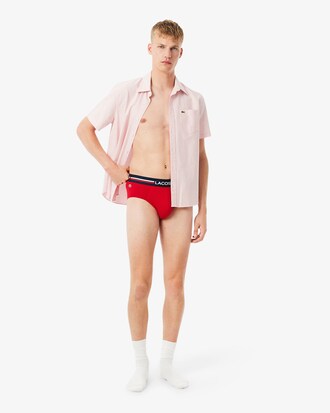 Confezione da 3 slip in cotone monocromatico con logo in vita