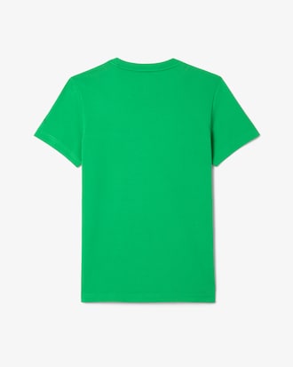 Set Lacoste Tennis x Novak Djokovic