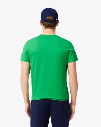 Set Lacoste Tennis x Novak Djokovic