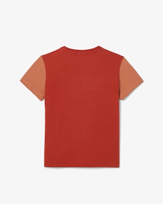 T-shirt in jersey di cotone color block