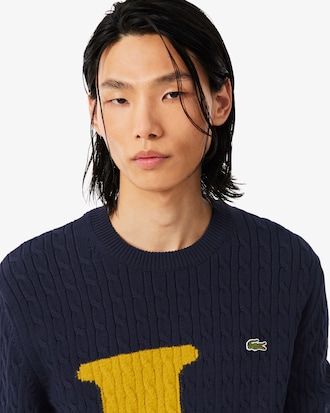 Intarsia Cable Knit Sweater