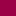 Rose Fushia