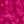 Rose Fushia