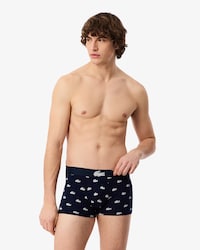 Pack de 3 cal&ccedil;&otilde;es com Estampado de Crocodilo