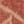 Castanho / Beige