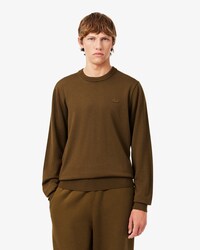 Sweater de L&atilde; Merino com Decote Redondo