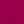 Rose Fushia