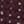 Castanho / Bege / Azul-marinho / Bege