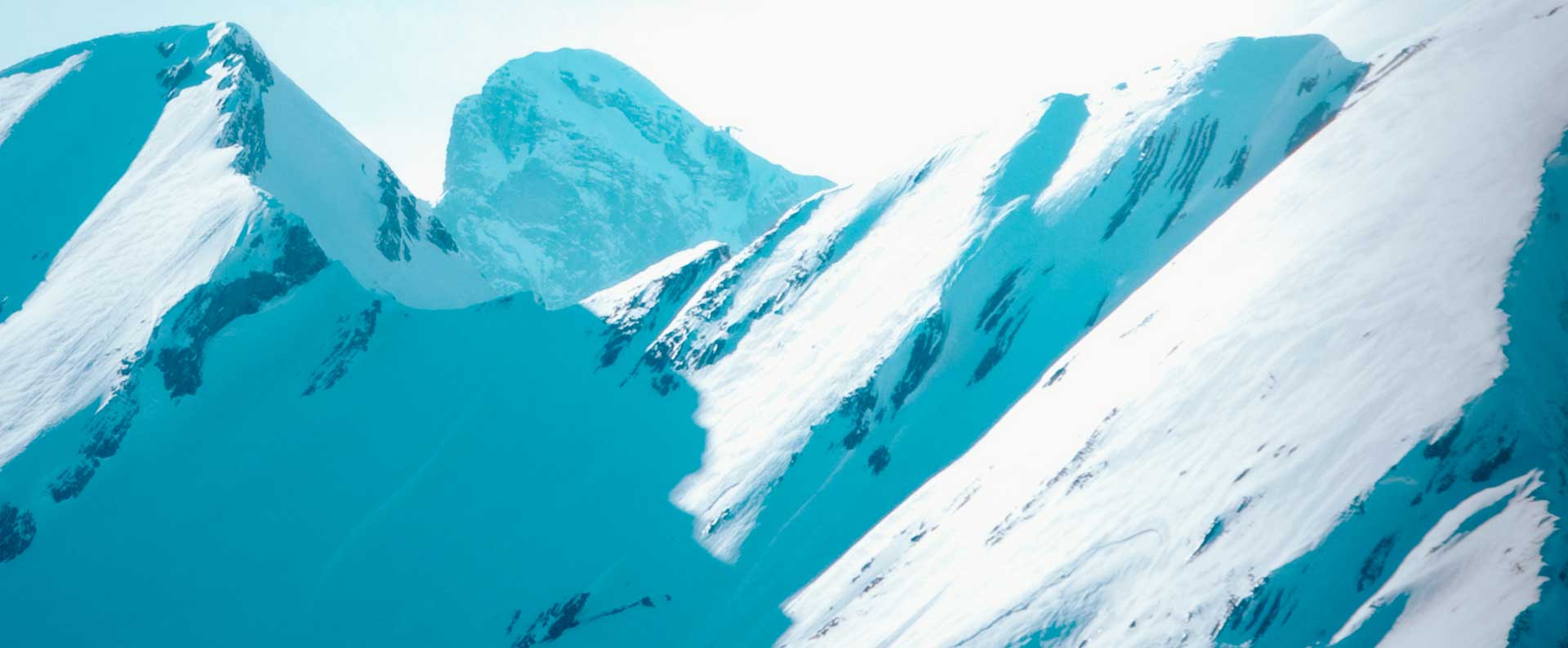 lacoste latest collection