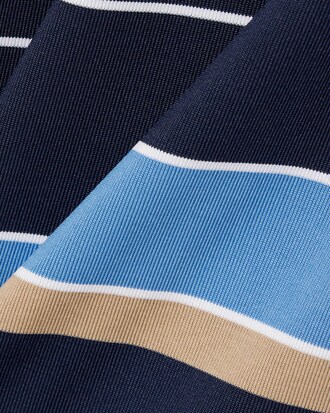 Regular Fit Ultra Dry Striped Golf Polo Shirt