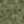 Khaki / Dark Green