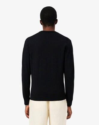 Merino Wool Monochrome V Neck Sweater