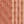 Brown / Beige