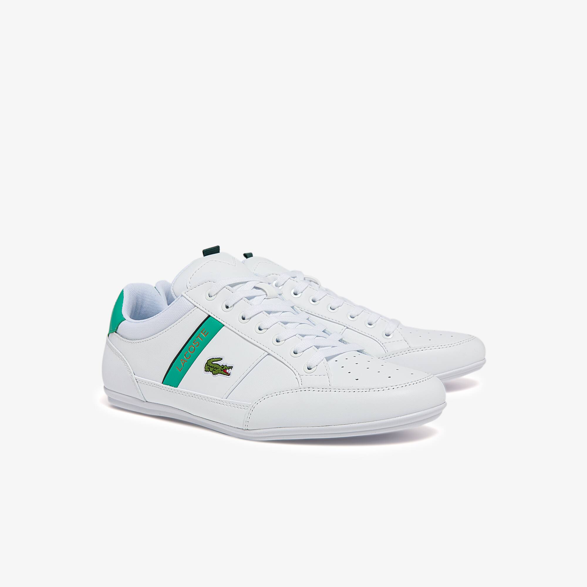 lacoste chaymon green