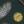 Vert / Bleu Marine / Blanc / Marron / Jaune