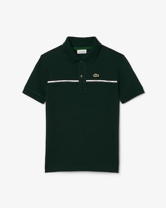 Contrast Band Petit Piqué Polo Shirt