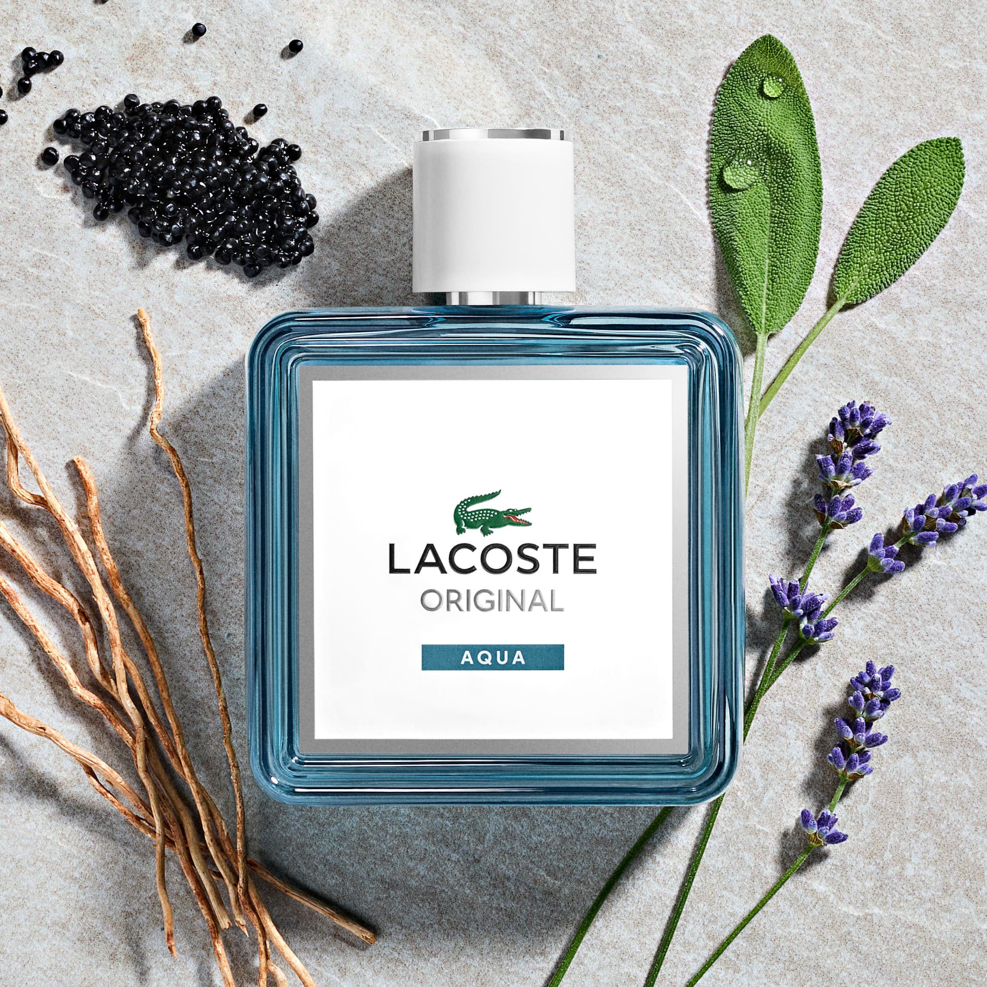 Lacoste Original Aqua Eau de Parfum 60ml - Men's Fragrances - New